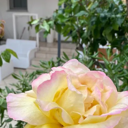 Maestrale